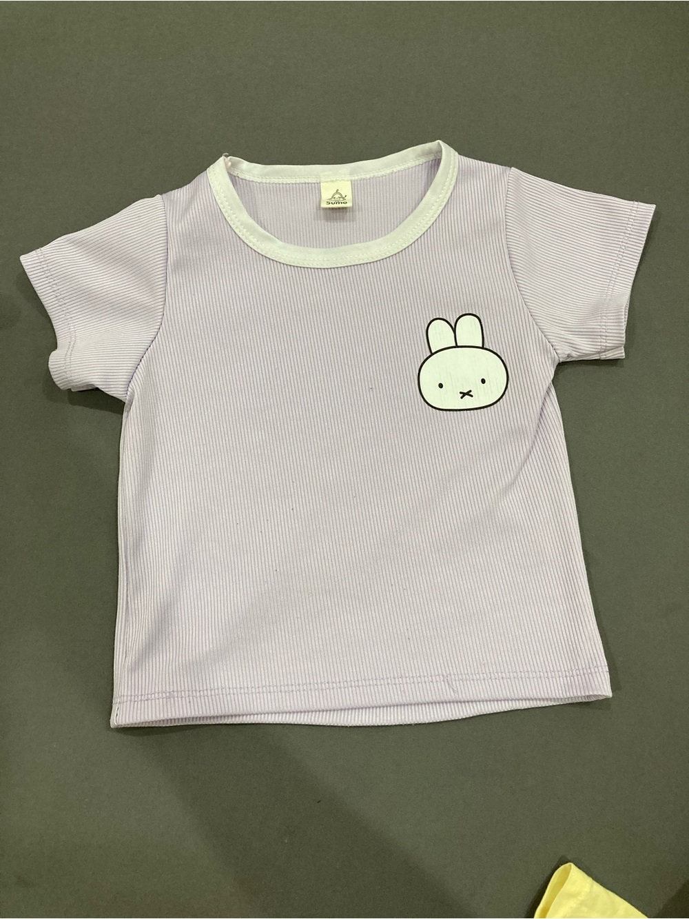 Lilac Bunny Graphic Short Sleeve Tee - Unbranded